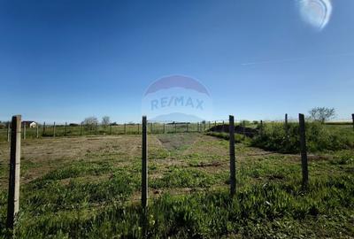 Teren 430mp Techirghiol / Parcela A233 - 4