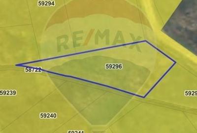 Teren Construcții intravilan de 1200 mp, în Săldăbagiu de Munte - 6