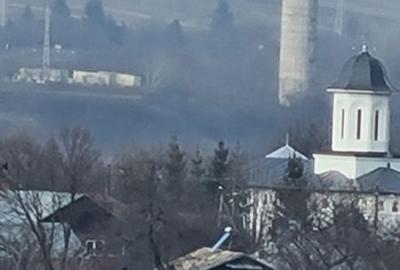 Teren de 4200 mp, în Drajna - 5