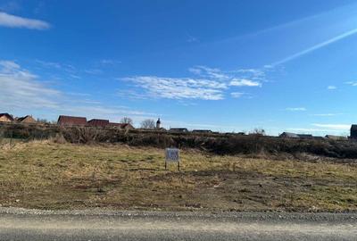 Teren de 1000 mp, în Exterior Vest - 1