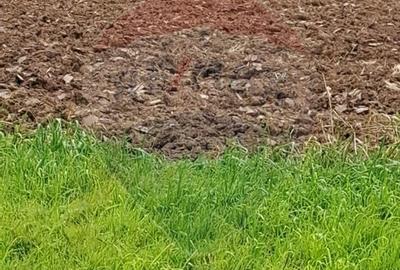 Teren Construcții intravilan de 15805 mp, în Ostratu - 7