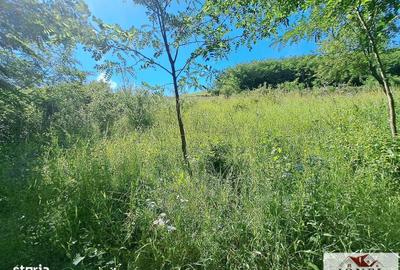 Spațiu comercial, în Drâmbar - 4