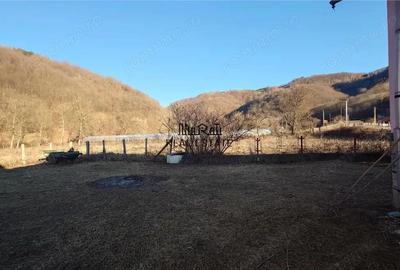 Proprietate in Apuseni - fosta pizzerie, ideala pentru afacere sau locuinta - 3