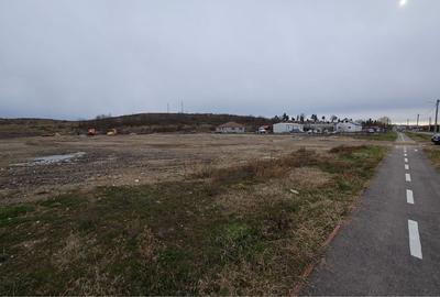 Teren de 7700 mp, în Exterior Vest - 3