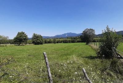 Teren agricol extravilan de 9350 mp, în Bran - 2