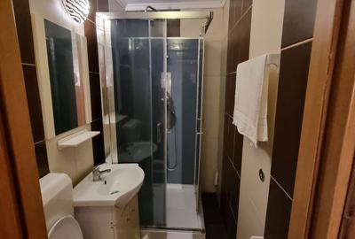 Apartament cu 2 camere semidecomandat, mobilat în Unirii - 8