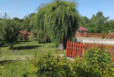 Vand casa locuibila posibilitate afacere - 4