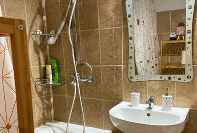 Apartament cu 2 camere semidecomandat, mobilat în P-ța Muncii - 10