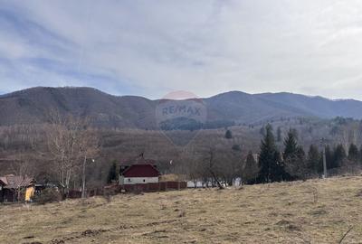 Teren Construcții intravilan de 1697 mp, în Cisnădioara - 4