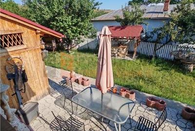 Teren intravilan + casa zona Fintesti - 18
