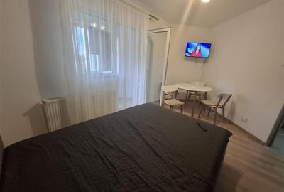 Garsoniera cu 1 camera balcon si pivnita zona Bulevardul Mihai Viteazul - 12