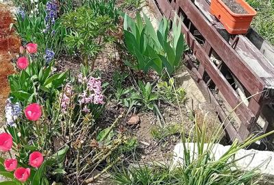 Casă cu 5 camere cu Teren 800 Mp în Central - 7