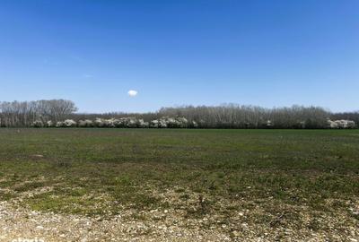 Teren de 638 mp, în Cocani - 7