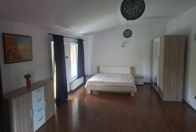 Inchiriez Vila 5 camere in Padurea Snagov, Silistea Snagovului / Pet Friendly - 3