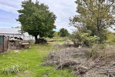 Casă cu 3 camere cu Teren 1065 Mp în Cuza Vodă - 4