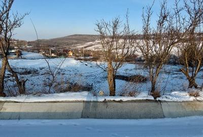 Teren de 750 mp, în Popricani - 1