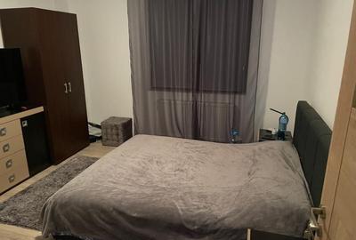 Apartament cu 2 camere decomandat, mobilat în Vest - 4