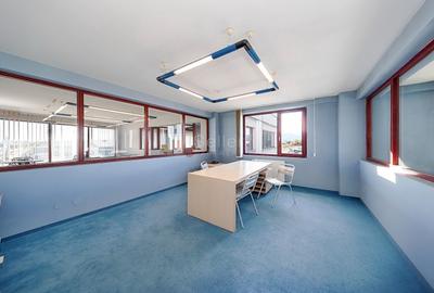 Sediu Firma - Showroom - 17