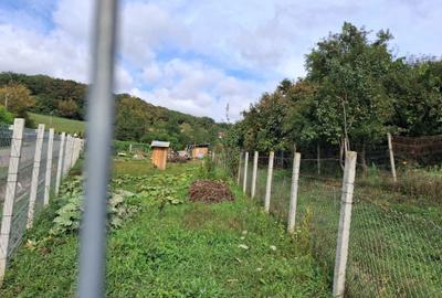 Teren de 938 mp, în Remetea - 1