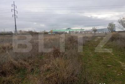 Teren de 9000 mp, în Priseaca - 1