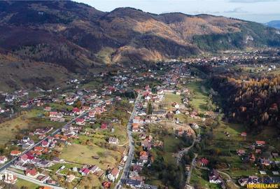 Spațiu comercial, în Drumul Carului