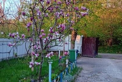 Casă individuală cu 5 camere cu Canalizare în Viștea - 1