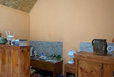 Casă individuală cu 4 camere cu Teren 1454 Mp în Pustiniș - 14