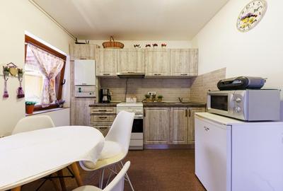 Apartament cu 3 camere decomandat, mobilat în P-ța Unirii - 8
