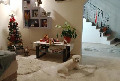 Casă cu 6 camere cu Teren 700 Mp în Albota - 1