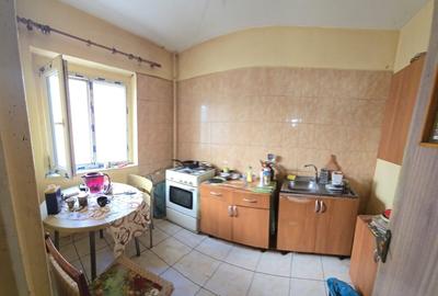 Teiul Doamnei - Parcul Tei Teiul Doamnei - Parcul Tei - 5