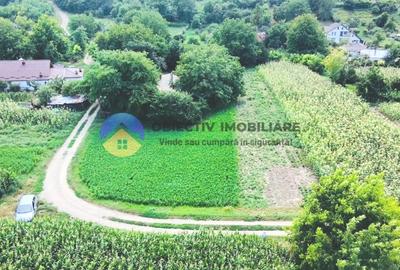 TEREN intravilan GIROV  4133 mp - 9