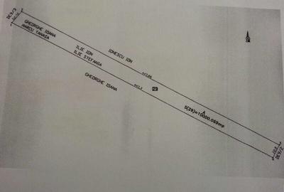 Teren Afumati - Padurea Golasei! - 2