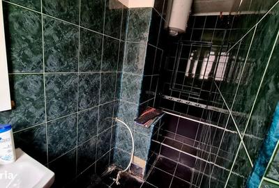 Apartament cu 3 camere în Moneasa - 2