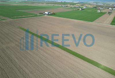 Teren de vânzare, Com. Nicolae Bălcescu, Jud. Bacău - 9