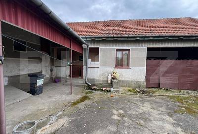 Casa 266 mp, 3992 mp teren, garaj, terasa, Topolovatu Mare-Timisoara - 8