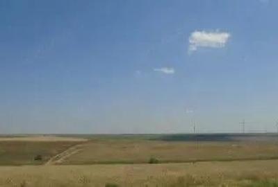 Teren de 9000 mp, în Schela - 5