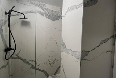 Închiriere apartament Minerilor ,2 camere etaj 1 ,loc de parcare inclus - 3