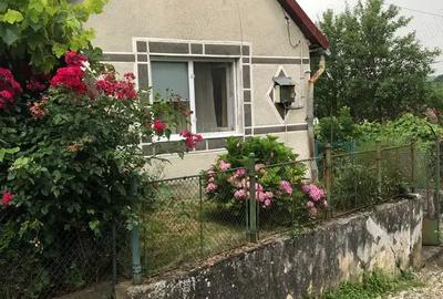 Vand casa in Sasca Montana