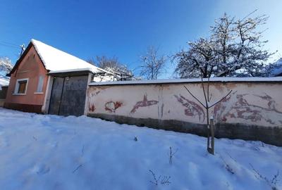 Casă cu Teren 851 Mp în Uileacu de Beiuș - 4