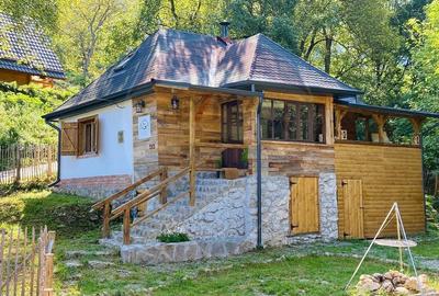 Casa de vacanta la munte de vanzare - 11