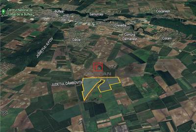 Teren Peris - Crevedia, Ilfov - 4