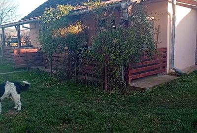 Casă cu 4 camere în Central - 7