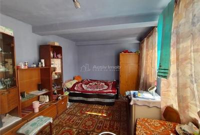 Caransebes, Casa cu Teren de 585 Mp, Zona Sesu Rosu - 13