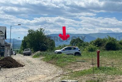 Teren 5.000 mp pe Calea Cisnadiei - 2