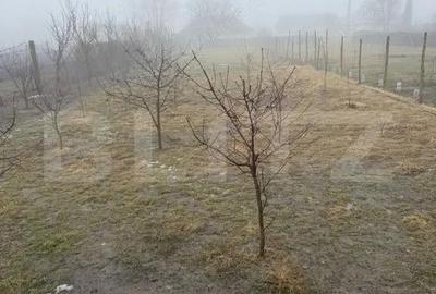 Locul unde incepe povestea ta casa spa?ioasa cu teren generos in Liteni Moara - 2