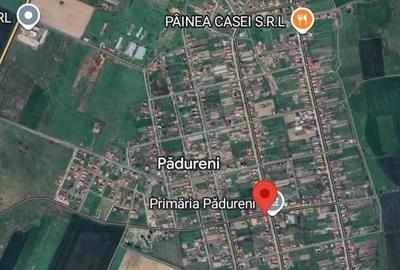 Casă cu 4 camere cu Teren 980 Mp în Pădureni - 4