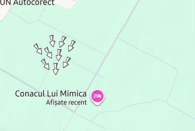 Teren Cornetu langa padure - 3