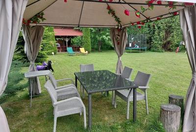 Casă cu 4 camere cu Teren 6000 Mp în Cornu - 9