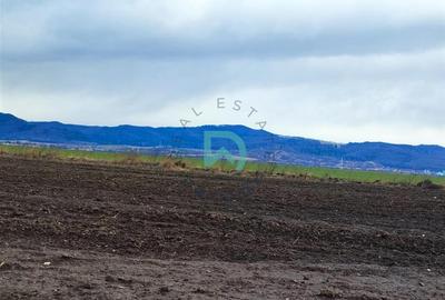 Teren agricol extravilan de 136000 mp, în Cristian - 14