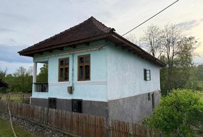 Casă de vânzare în Sărdenești,Bala, jud. Mehedinți teren + utilități, CF la zi - 11